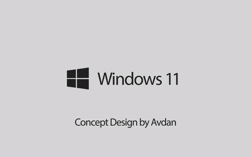 Windows11黑屏闪烁解决方法
