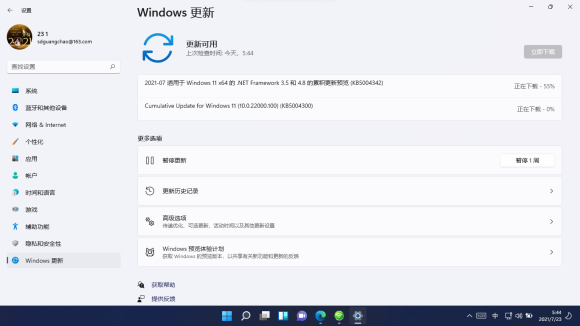 Windows11 22000.100更新完闪
