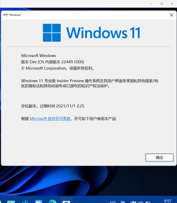 Windows11去水印