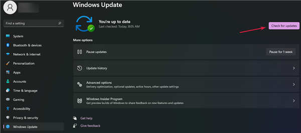 怎么检查Windows11中的新更新